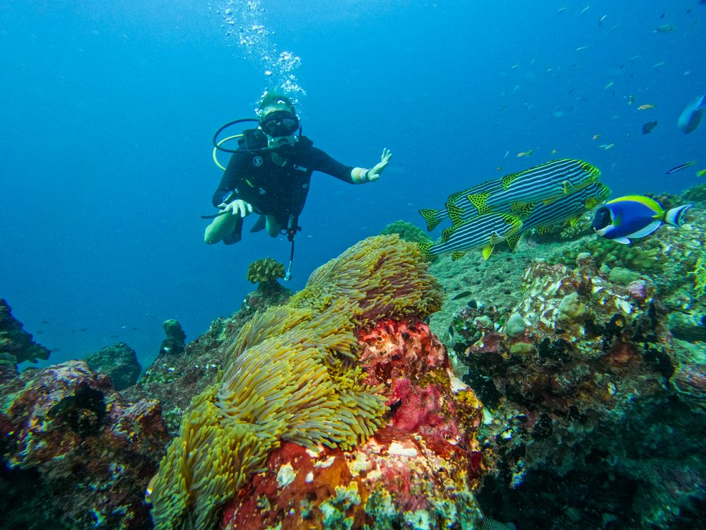 Mergulho e snorkel nas Maldivas