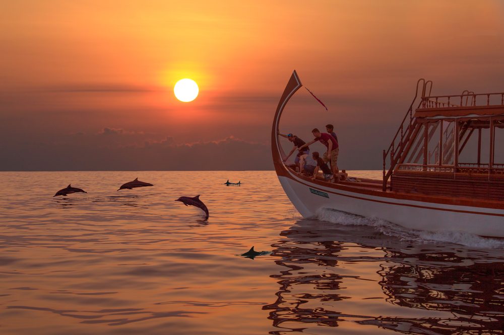 Pesca e passeio com golfinhos nas Maldivas